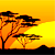 tours and safaris from Nairobi kenya