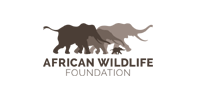 africa wildlife safari photos images lions elephants leopard cheetah
