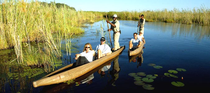 botswana okavango delta wildlife safari