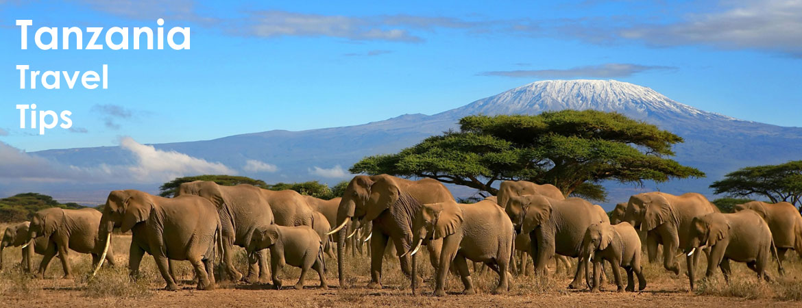 Tanzania travel info tips and advise