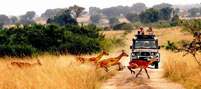 Queen Elizabeth National Park - Uganda
