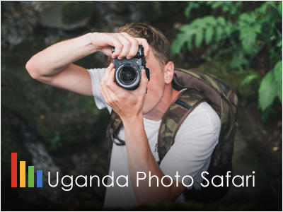 Gorilla Tracking Safari
